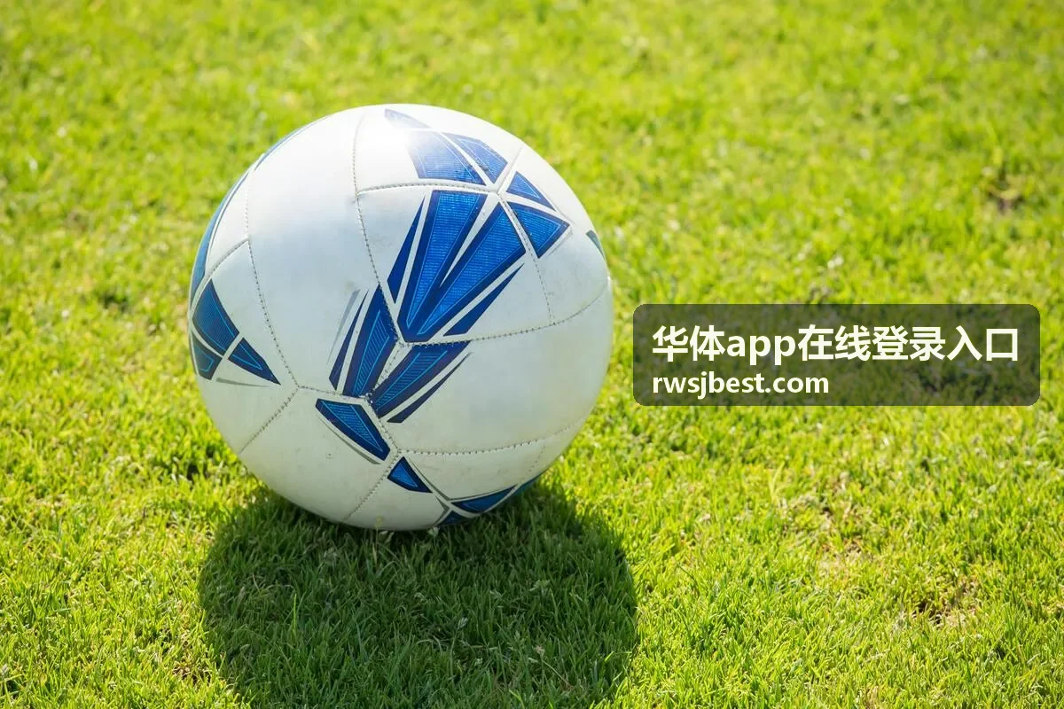 华体app在线登录入口验证码显示异常界面