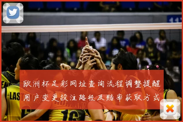 欧洲杯足彩网址查询流程调整提醒用户变更投注路径及赔率获取方式
