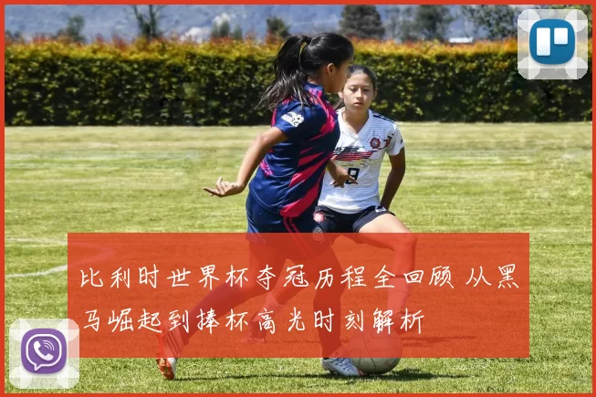 比利时世界杯夺冠历程全回顾 从黑马崛起到捧杯高光时刻解析