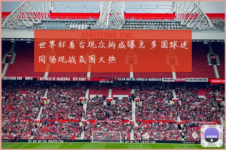 世界杯看台观众构成曝光 多国球迷同场观战氛围火热