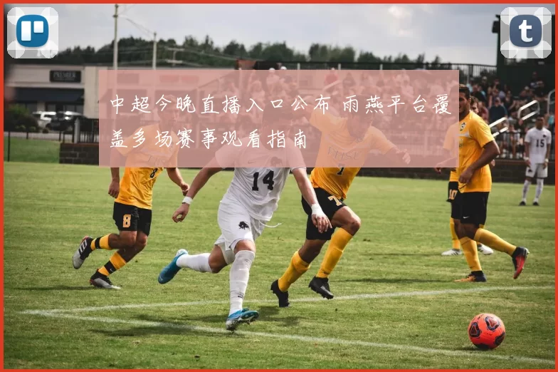 中超今晚直播入口公布 雨燕平台覆盖多场赛事观看指南