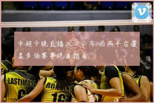 中超今晚直播入口公布 雨燕平台覆盖多场赛事观看指南