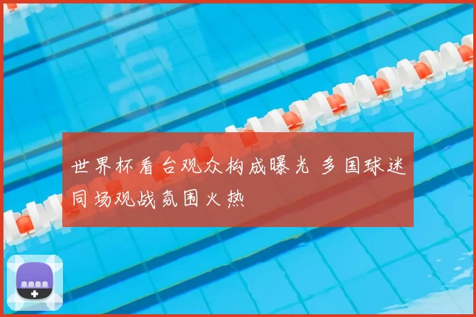 世界杯看台观众构成曝光 多国球迷同场观战氛围火热