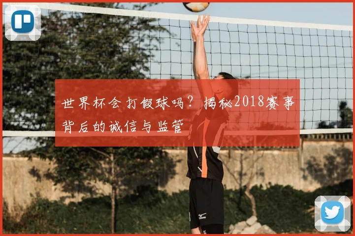 世界杯会打假球吗？揭秘2018赛事背后的诚信与监管