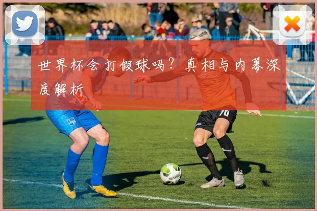 世界杯会打假球吗？真相与内幕深度解析