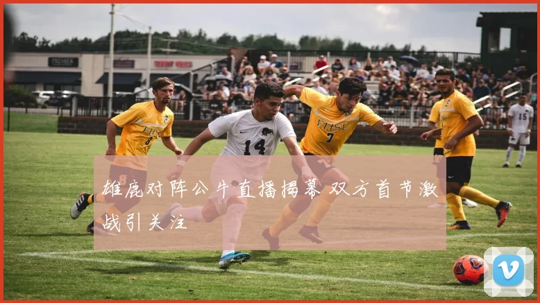雄鹿对阵公牛直播揭幕 双方首节激战引关注