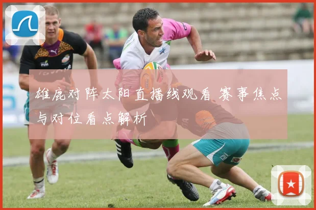雄鹿对阵太阳直播线观看 赛事焦点与对位看点解析